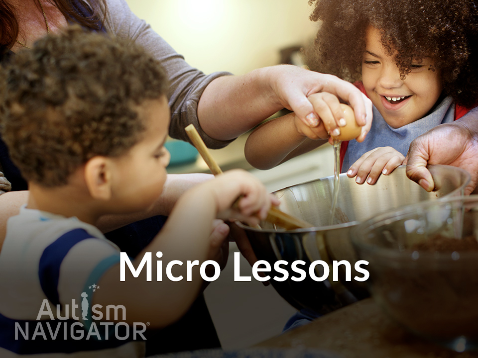 Micro Lessons