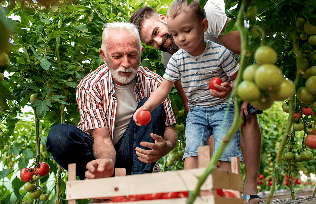 We offer the following components as a package to start with a First Step Diagnostic Evaluation.