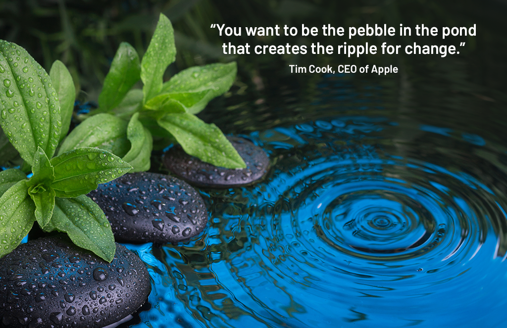 You can schedule a free 30-minute Planning Meeting with our team to help you decide if you want our individual or group PD training and where to start. We offer the following PD training opportunities. Contact us to find out more about our group rates.